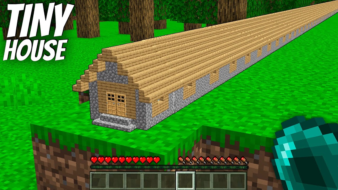 What's INSIDe the Tiny Villager House in Minecraft ?