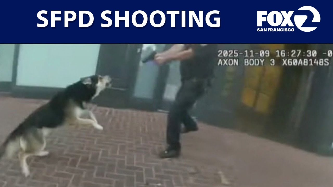 Body-cam footage of SFPD shooting and wounding suspect and dog