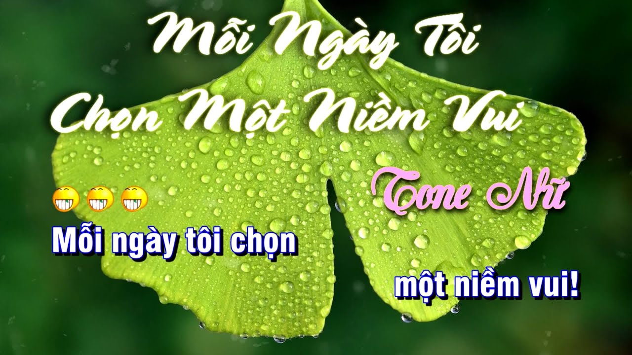 Karaoke | Mỗi ngày Tôi Chọn Một Niềm Vui - Tone Nữ | By Nhạc Việt Karaoke