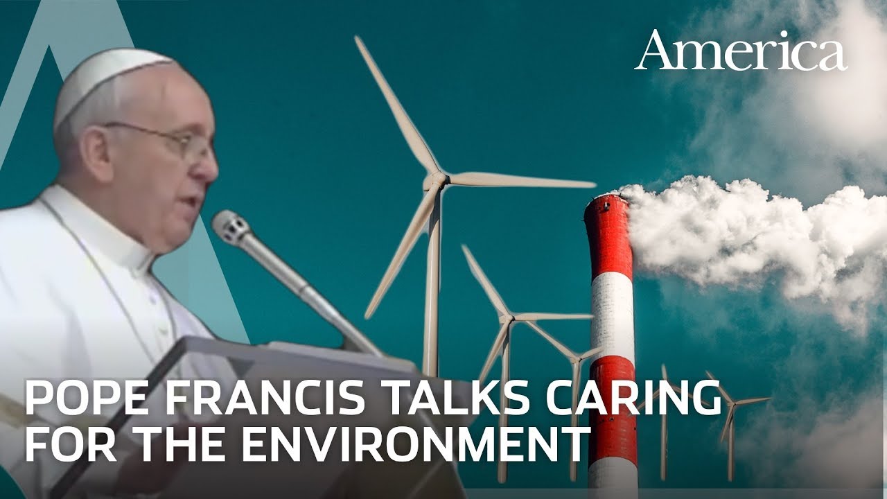 10 фактов о молитве Папы Франциска «Laudato Si»
