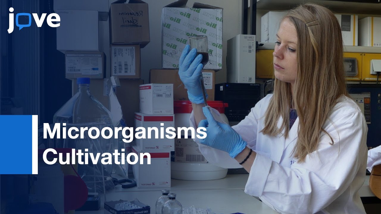 Microorganisms Cultivation under Strictly Anoxic Conditions | Protocol Preview