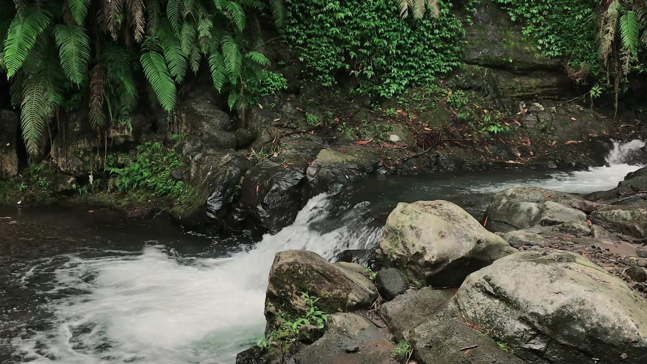 Peaceful Valley River Vibes | For Peace of Mind & Massage