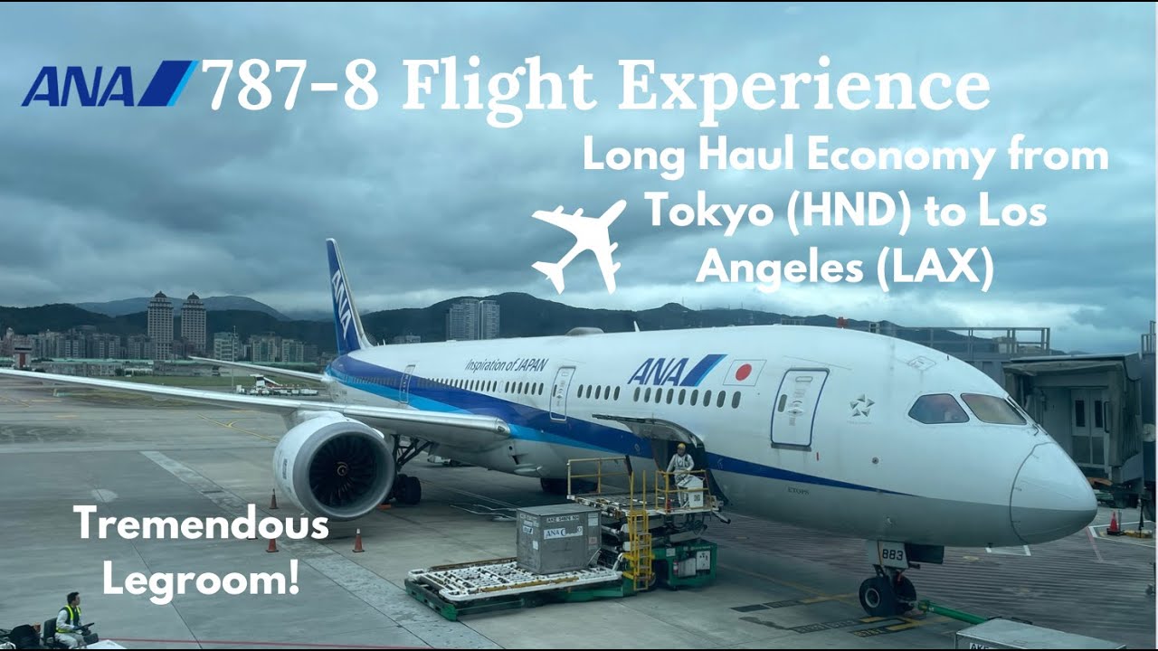 ANA - All Nippon Airways Excellent 787 | Tokyo to Los Angeles