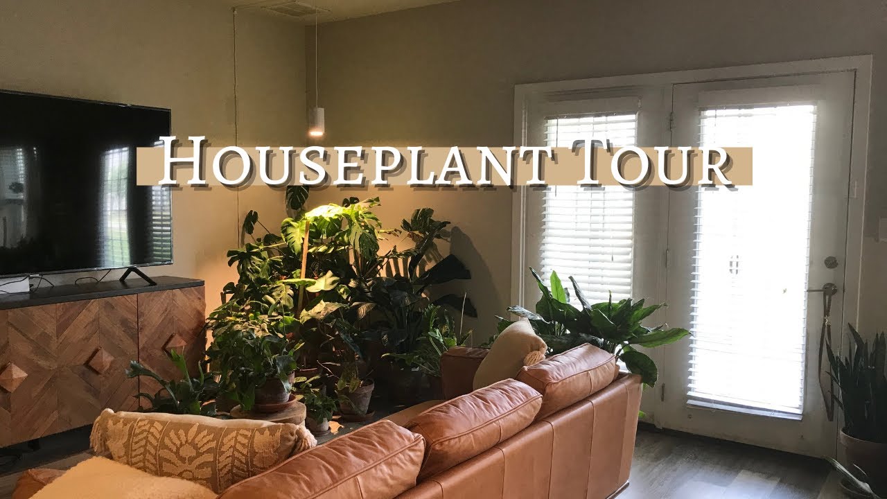 Relaxing Houseplant Tour | Spring 2022 Houseplant Collection