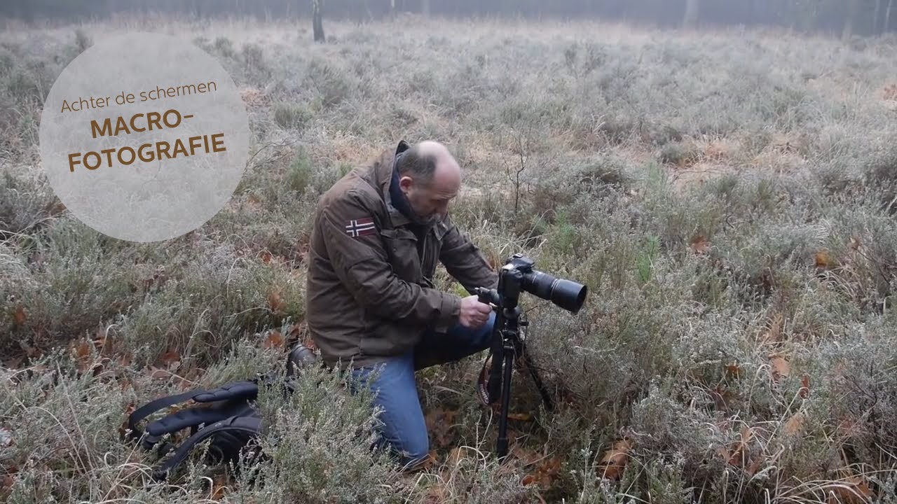 Achter de schermen: MACROFOTOGRAFIE | Zoom