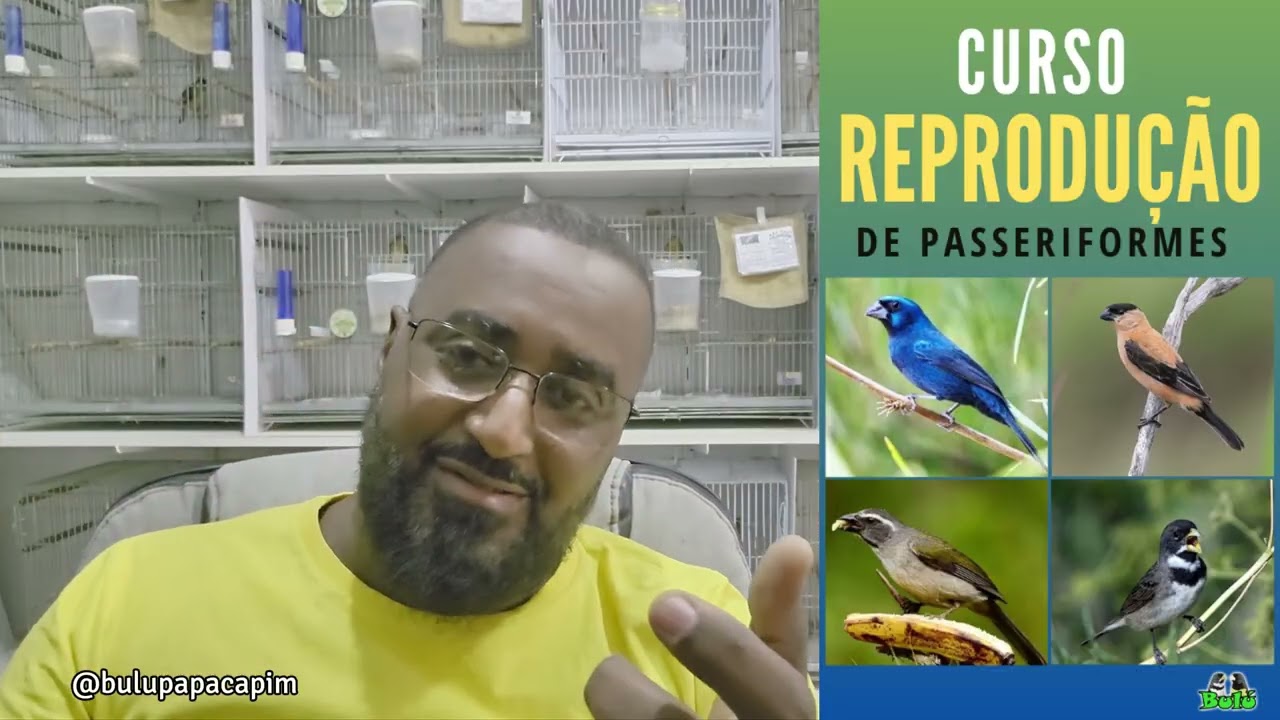 APRESENTAÇÃO DO NOVO CURSO ONLINE DE REPRODUÇÃO DE PÁSSAROS
