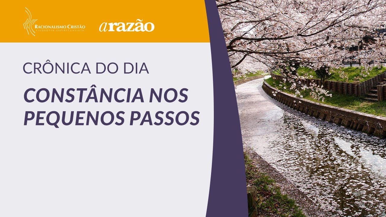 Crônica do dia - Constância nos pequenos passos