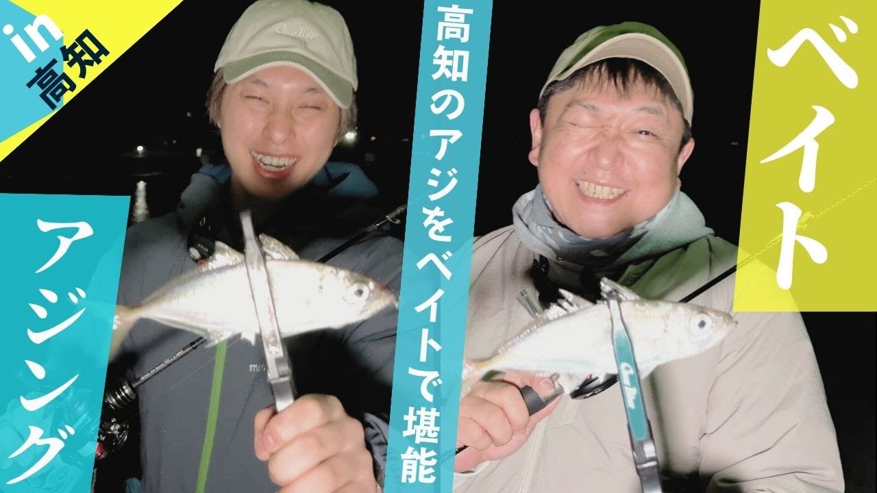 高知でベイトアジング