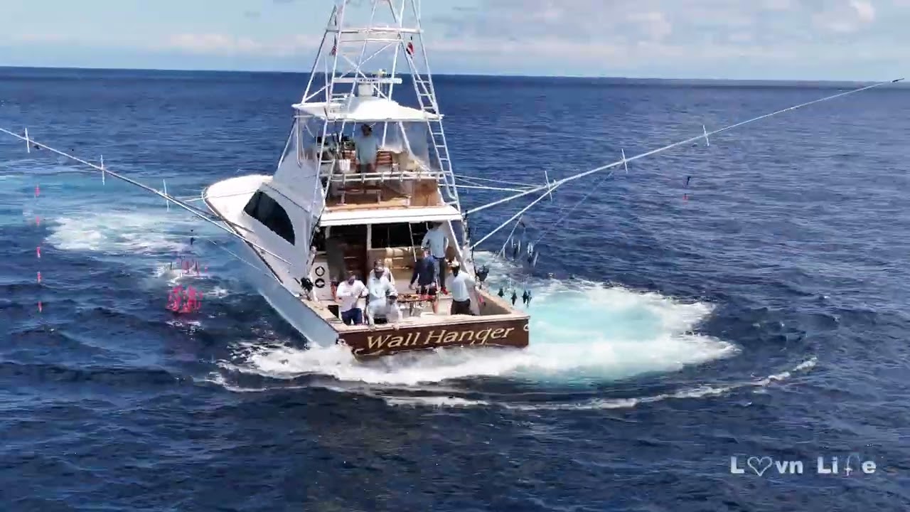 wall hanger 2 08 blue marlin