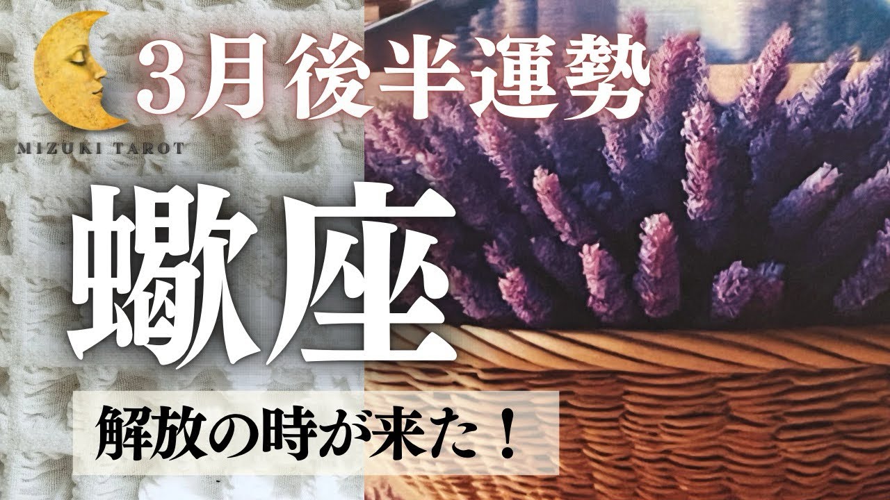夜明け、希望、再生。さぁ、前進しましょう！大丈夫ですよ🪻【さそり座3月後半運勢】