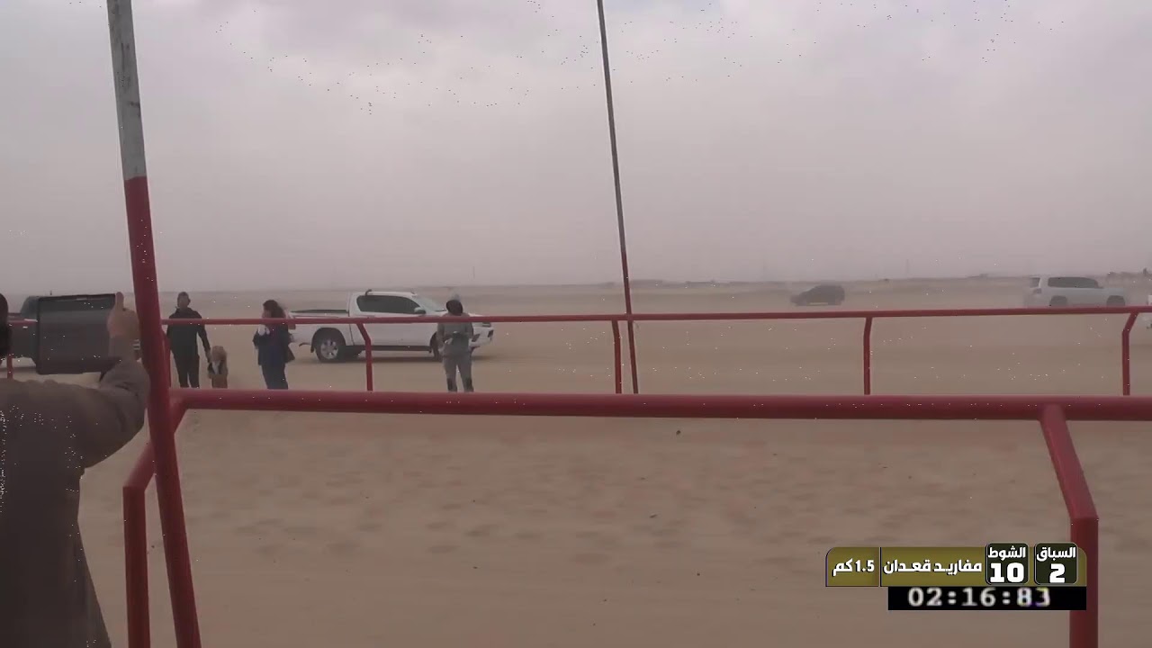 بث مباشر من قِبل النادي الكويتي لسباق الهجن