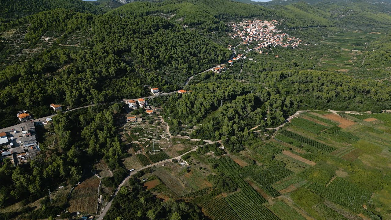 Smokvica area, Po&scaron;ip vineyards. Korčula. Croatia 2025.