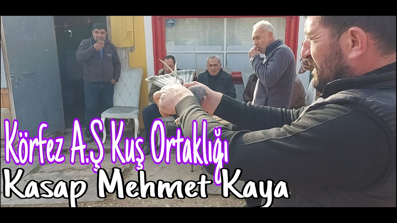 Körfez A.Ş. Kuş Ortaklığı. Kasap Mehmet Kaya ve Kuşçu Ortakları.