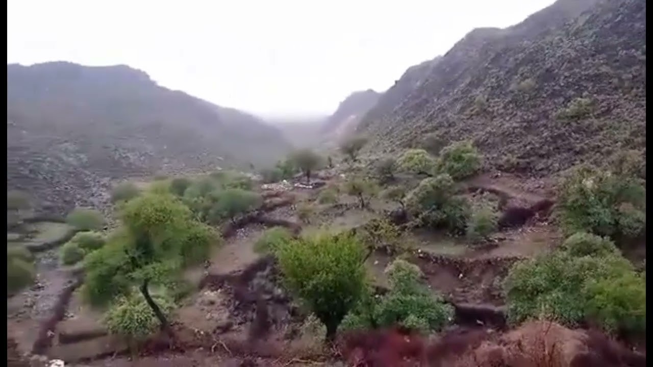 Mohmand Taseel Pandyali Lekandy banda video