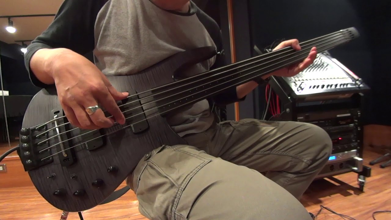 NS Design Radius CR5 Fretless Bass