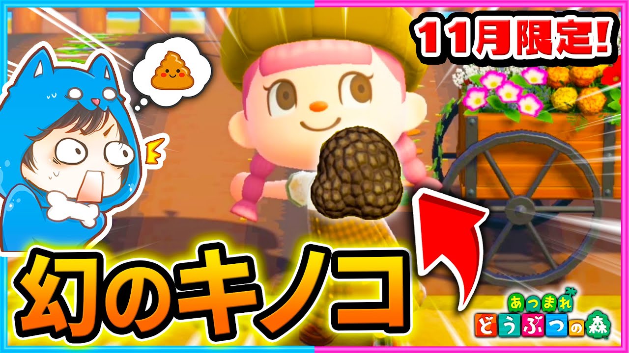 あつ森史上最高売値！幻のキノコを探すまで終われません！【１１月/めずらしいキノコ/秋】【あつまれどうぶつの森/AnimalCrossing】
