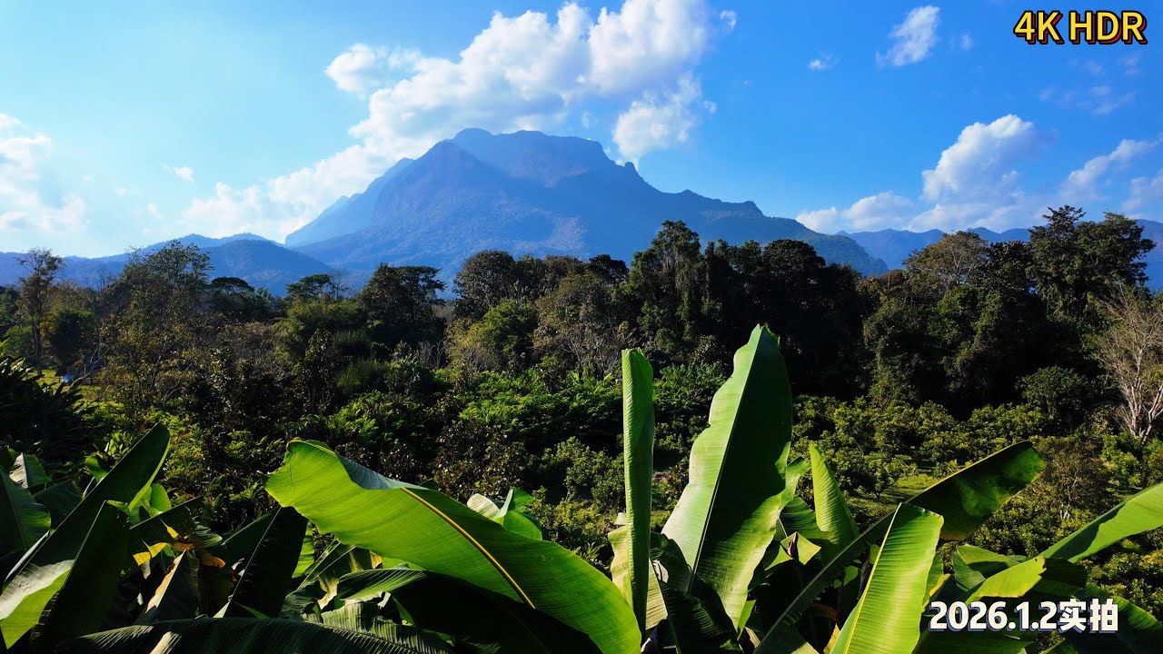 🇹🇭 穿过树林，清道山突然出现在眼前｜A Hidden Mountain Café Near Chiang Dao Mountain｜2026.1.2