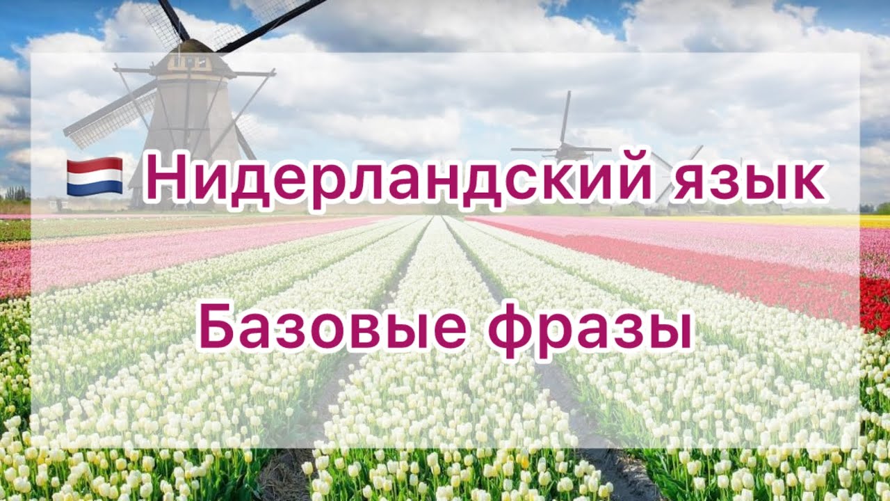 🇳🇱 Базовые фразы на нидерландском языке 🇳🇱