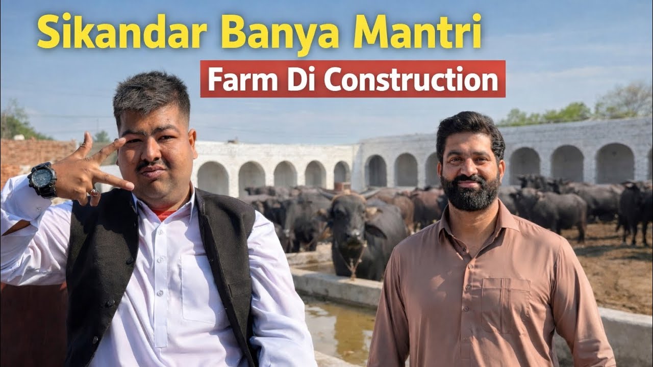 Sikandar Ban Gya Mantri | Dairy Farm Construction | Dhillon Dairy Farm 