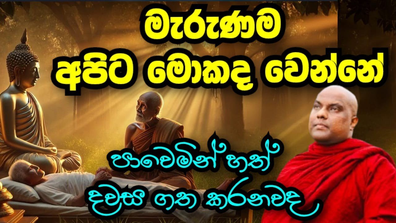 මැරුණහම අපිට මොකද වෙන්නේ? අන්තරා භවයක් තියෙනවද පූජ්‍ය ගලිගමුවේ ඥානදීප ස්වාමීන් වහන්සේ
