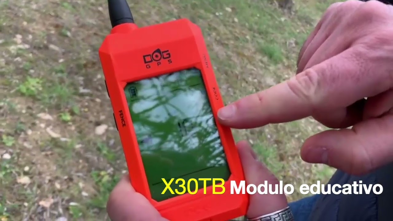 Satellitare X30TB; modulo educativo