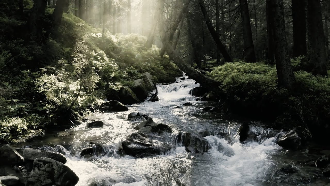 James Horner: An Apparition in the Fields (From 