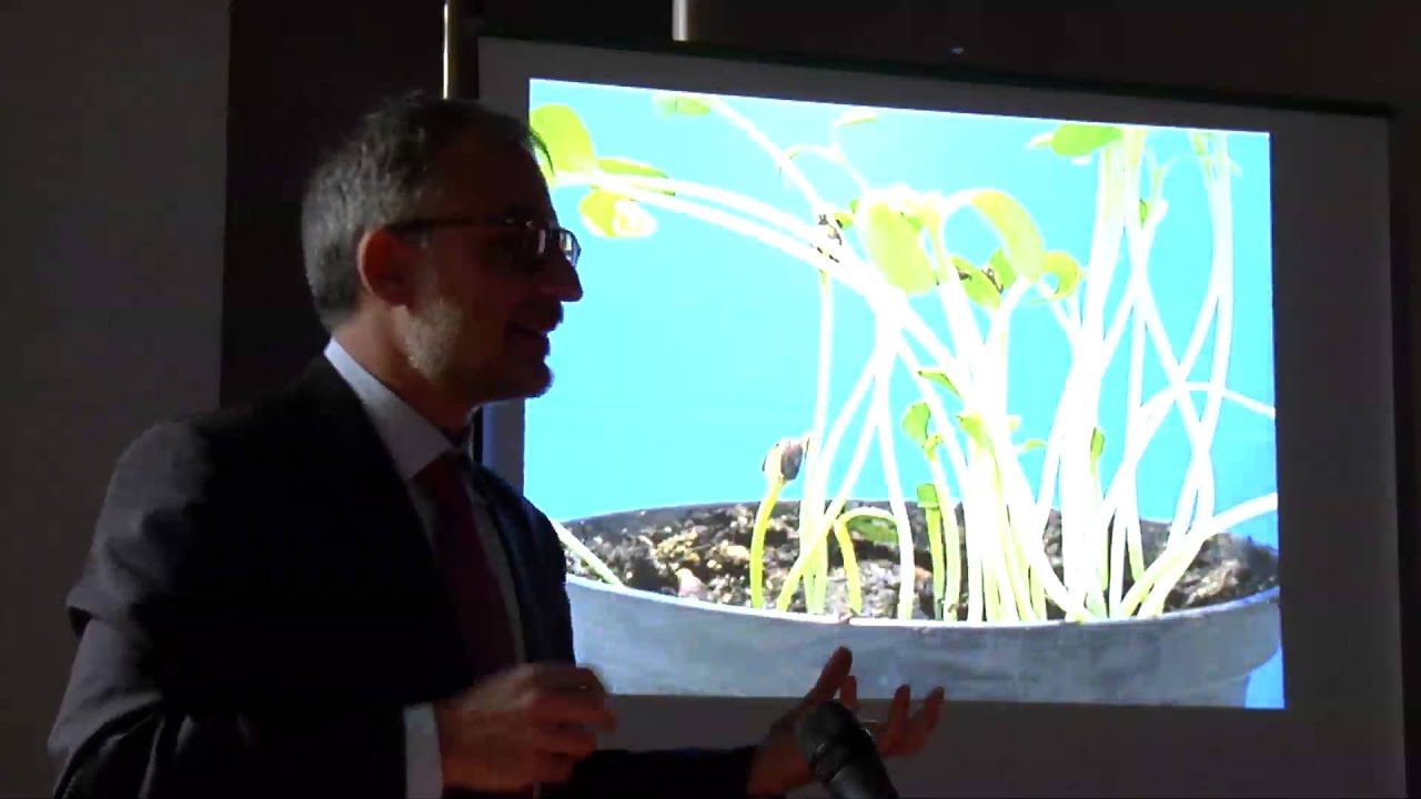 Stefano Mancuso – La modernità delle piante: sensibilità e intelligenza senza cervello