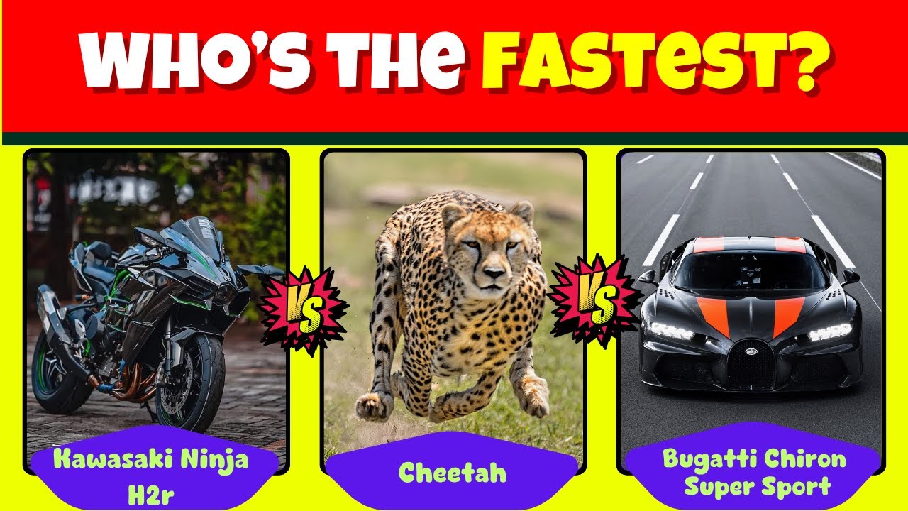 99% Fail This INSANE Animals vs Machines Quiz | #AnimalsvsMachines #QuizVault