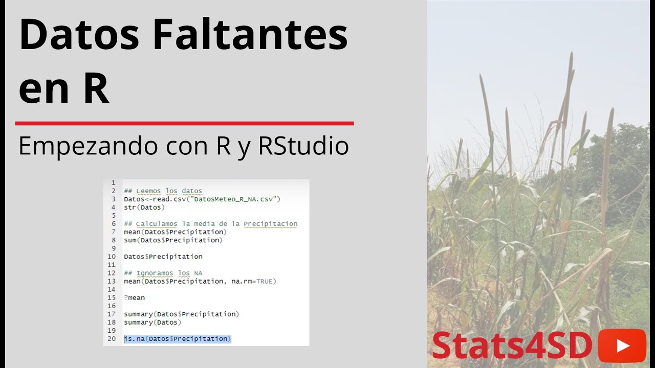 Datos Faltantes en R