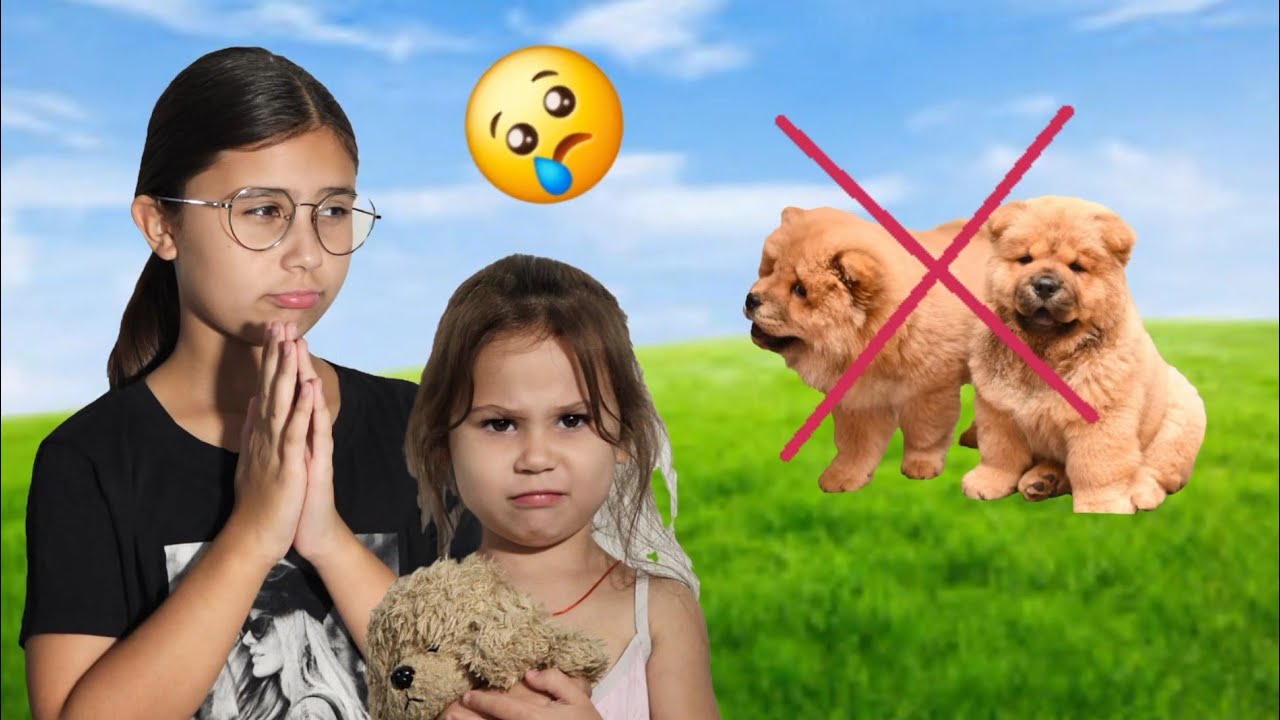 🙅MAMA ne-a INTERZIS să cumpărăm un CÂINE în FAMILIE. VLOG pentru copii 