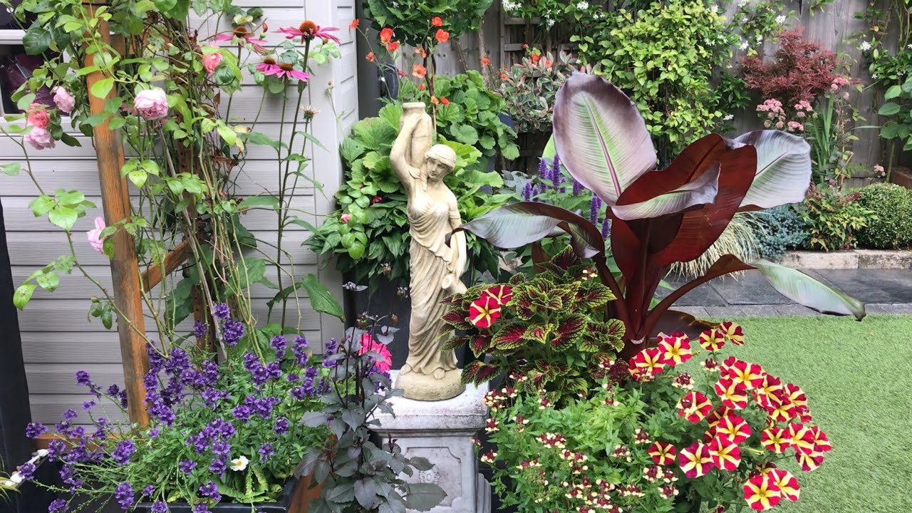 Early August small garden update🪴🌸 8/8/2025