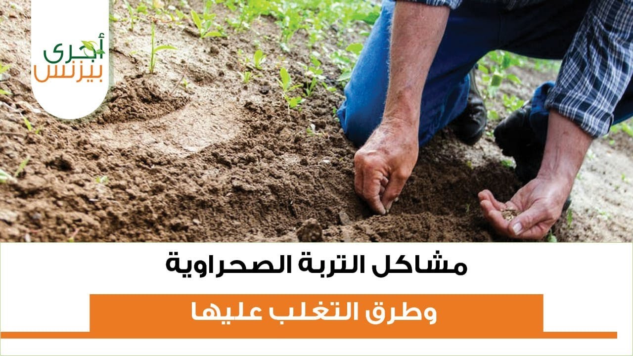 مشاكل التربة الصحراوية وطرق التغلب عليها   ا . د ياسر عبد الحكيم الاستاذ المساعد بمركز بحوث الصحراء