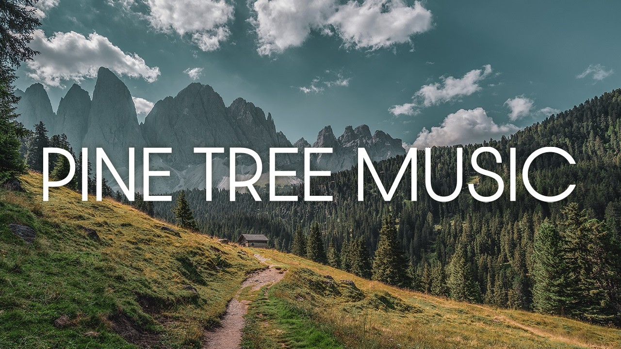 Pine Tree Music &ndash; 1 Hour of Relaxing Plant Music with PlantWave | Recorded in Cinque Torri Dolomites