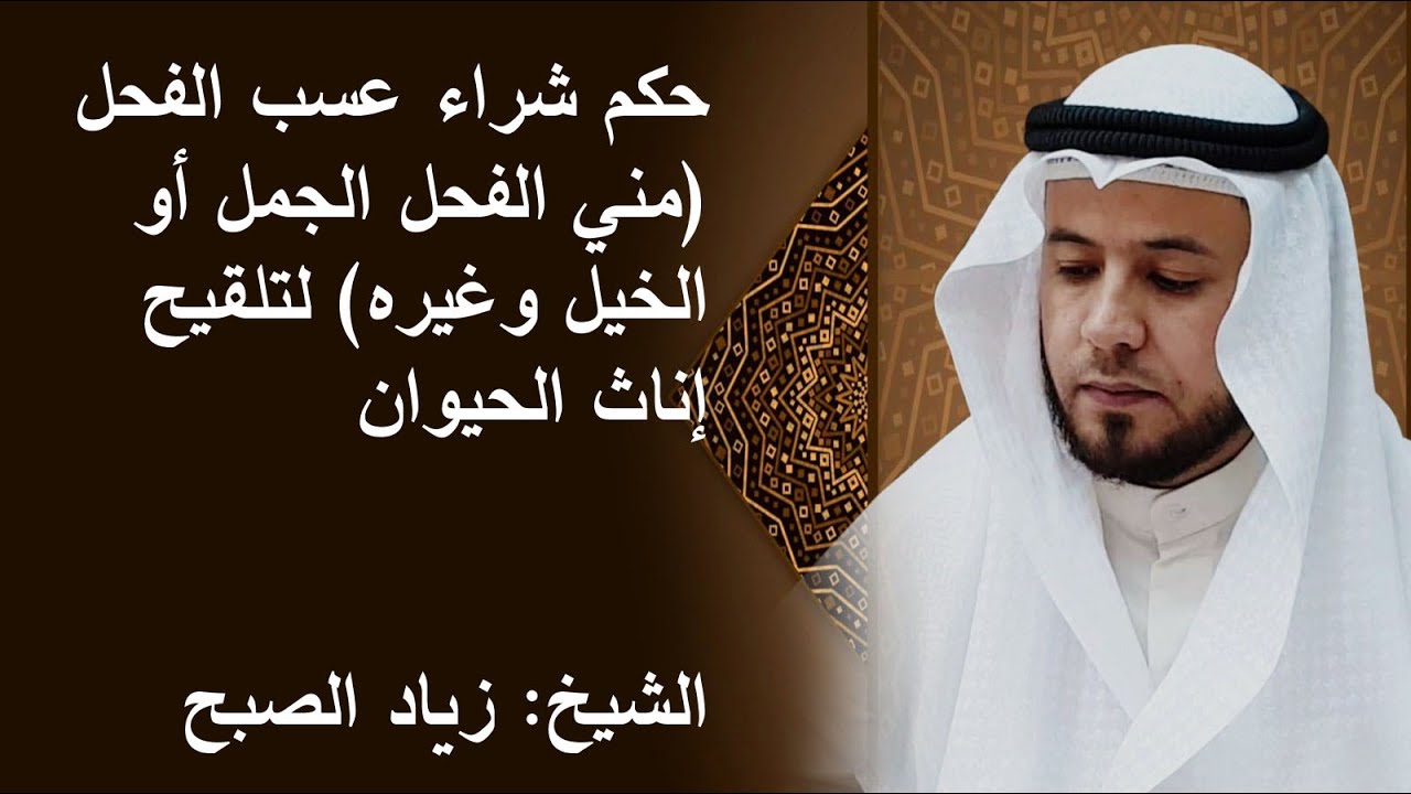 حكم شراء عسب الفحل لتلقيح الإناث