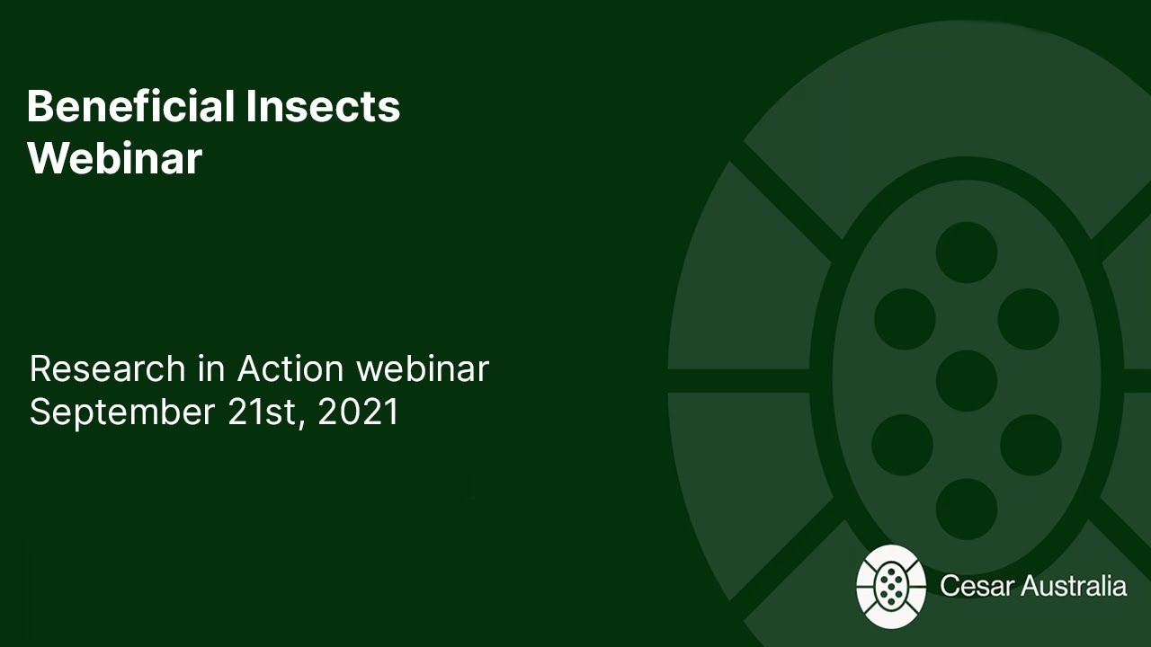 Beneficial Insects