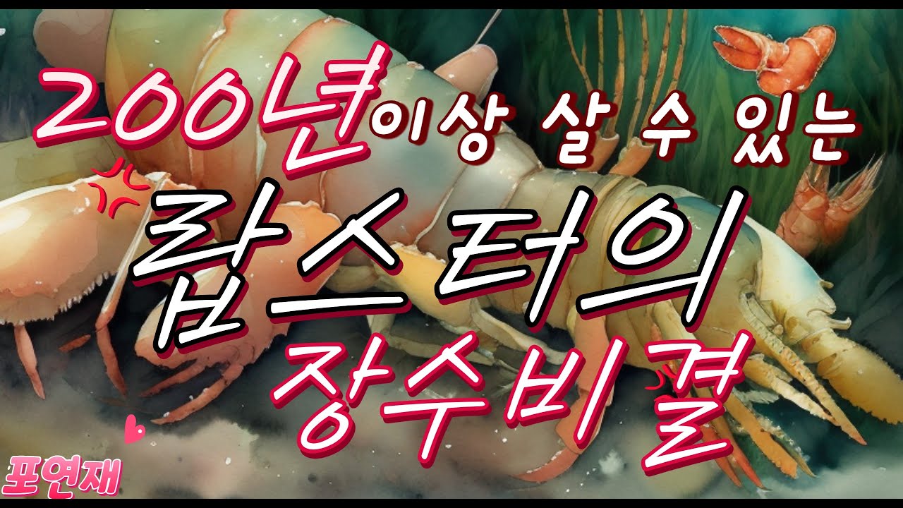 200년이상 살 수 있는 랍스터의 장수비결