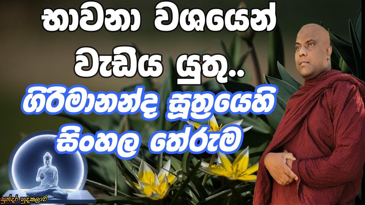 සිතේ ඇති ඇලීම් ගැටීම් දුරුකරන්නට අතීතයේ වැඩසිටි මහරහතන් වහන්සේලා අනුගමනය කල අර්ථවත් සදහම් මාර්ගය.