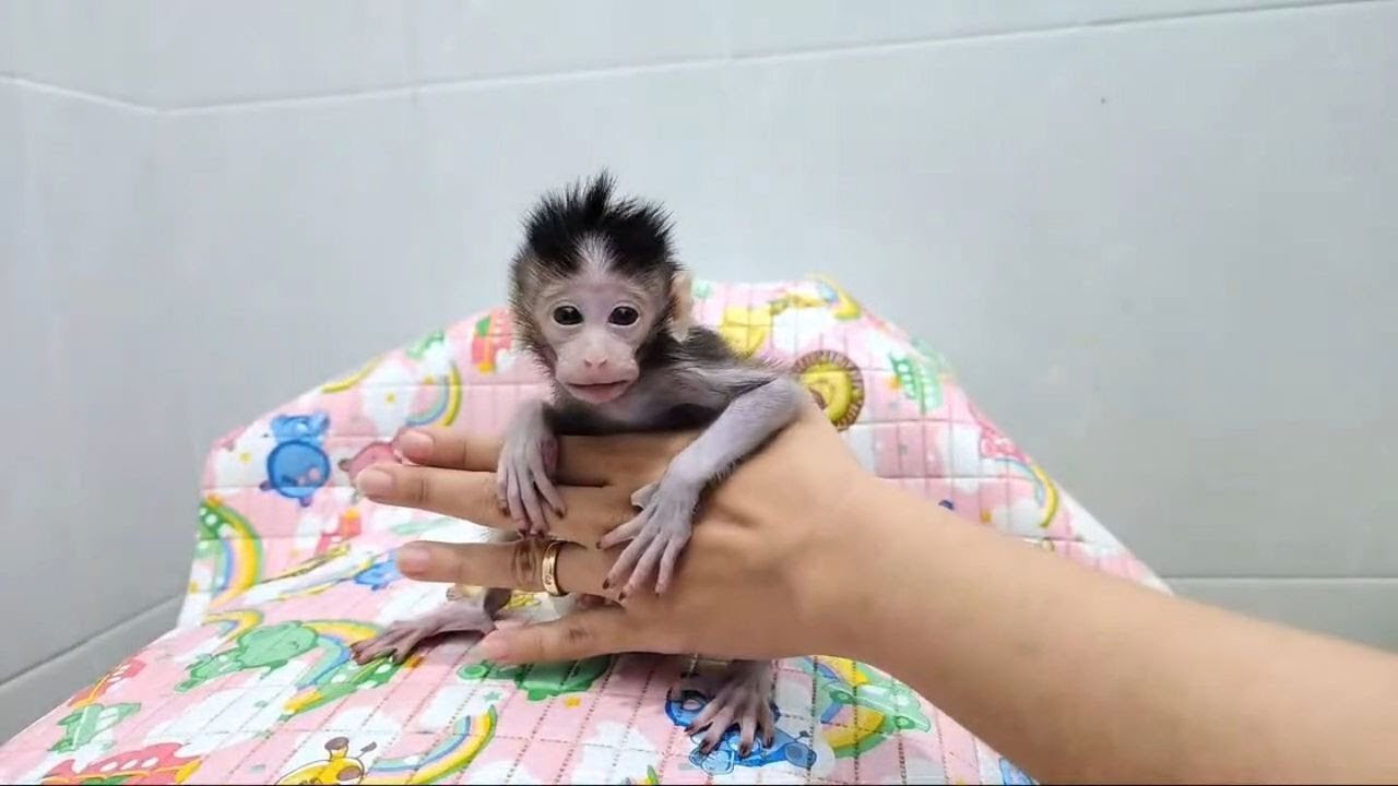 NB Monkey Girl Refresh Bathing with Grandma
