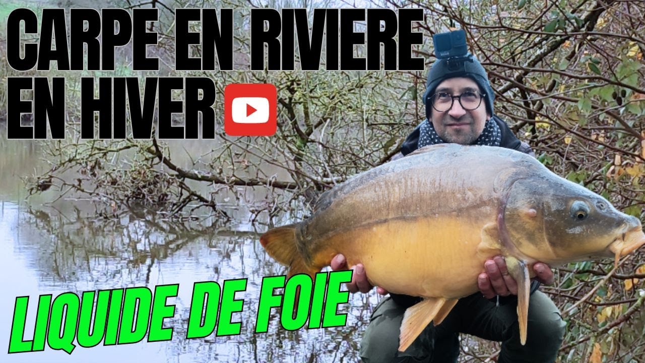PECHE de la CARPE en RIVIERE | Liquide de FOIE