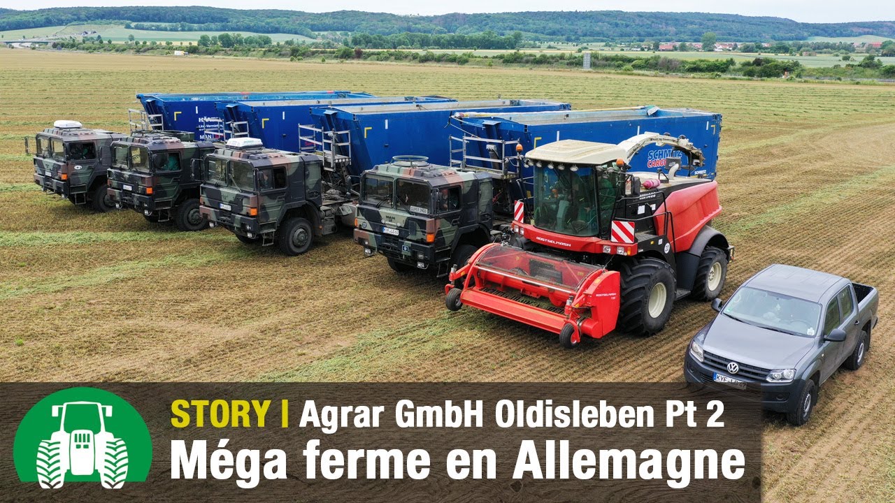 Agrar-GmbH Oldisleben : Agriculture sur 3 700 hectares (Récolte du fourrage vert/Partie 2)
