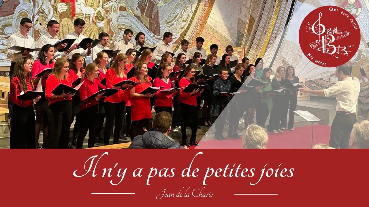 Il n'y a pas de petites joies - Jean de la Charie