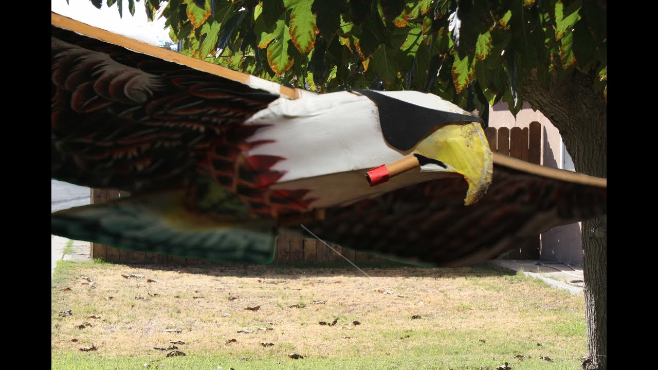 Plate Eagle Panying Progress #2 Some ROC Kites also fly