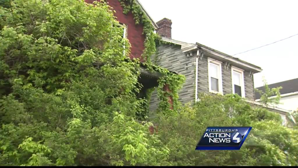 North Braddock blight