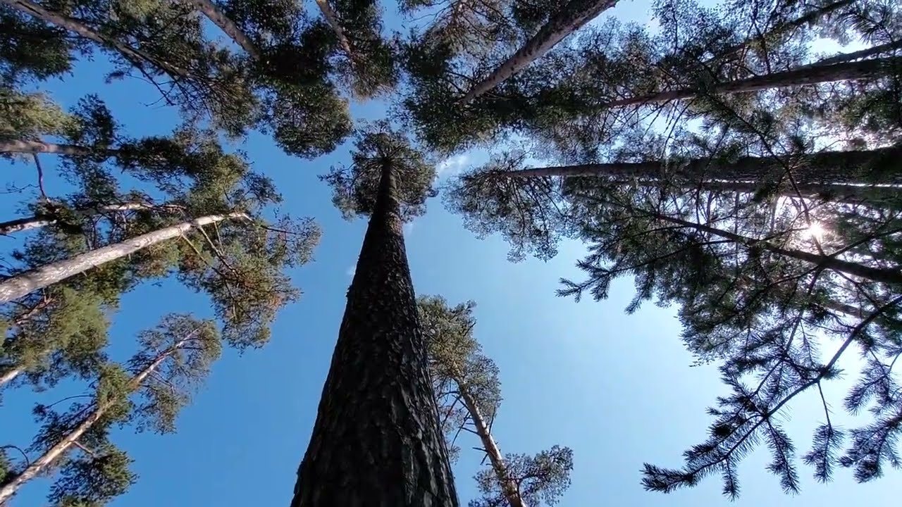 Bolu Yaylaları 2