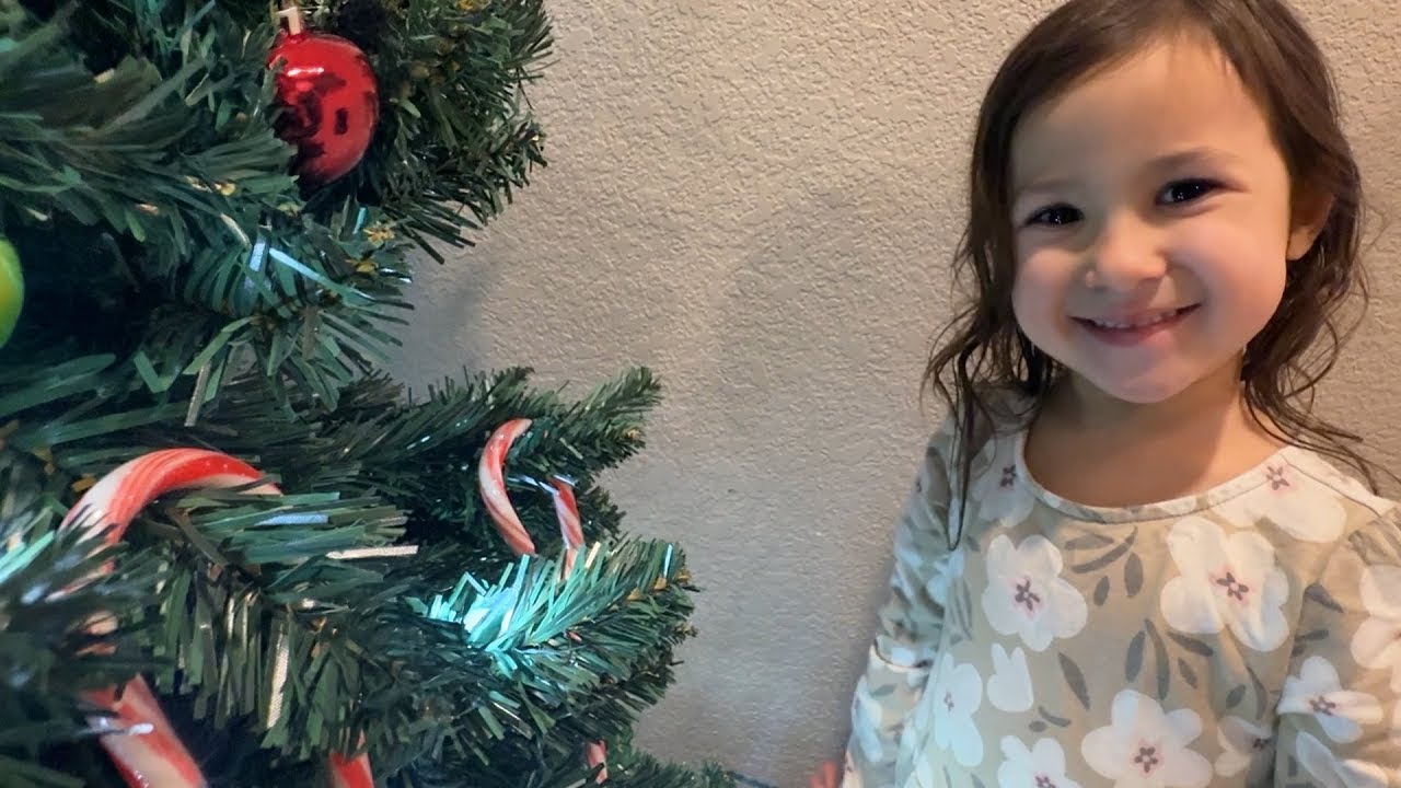 OAK put up our Family Christmas TREE (put the star on top) Hide And SEEK