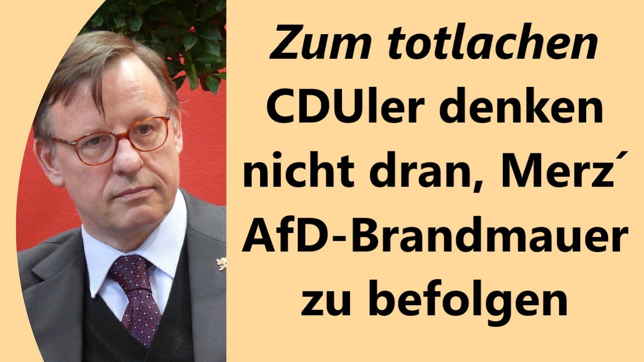 Null Autorit&auml;t: CDU-Mandatstr&auml;ger halten Merz f&uuml;r bescheuert, gleich nach Wahl zum Vorsitzenden