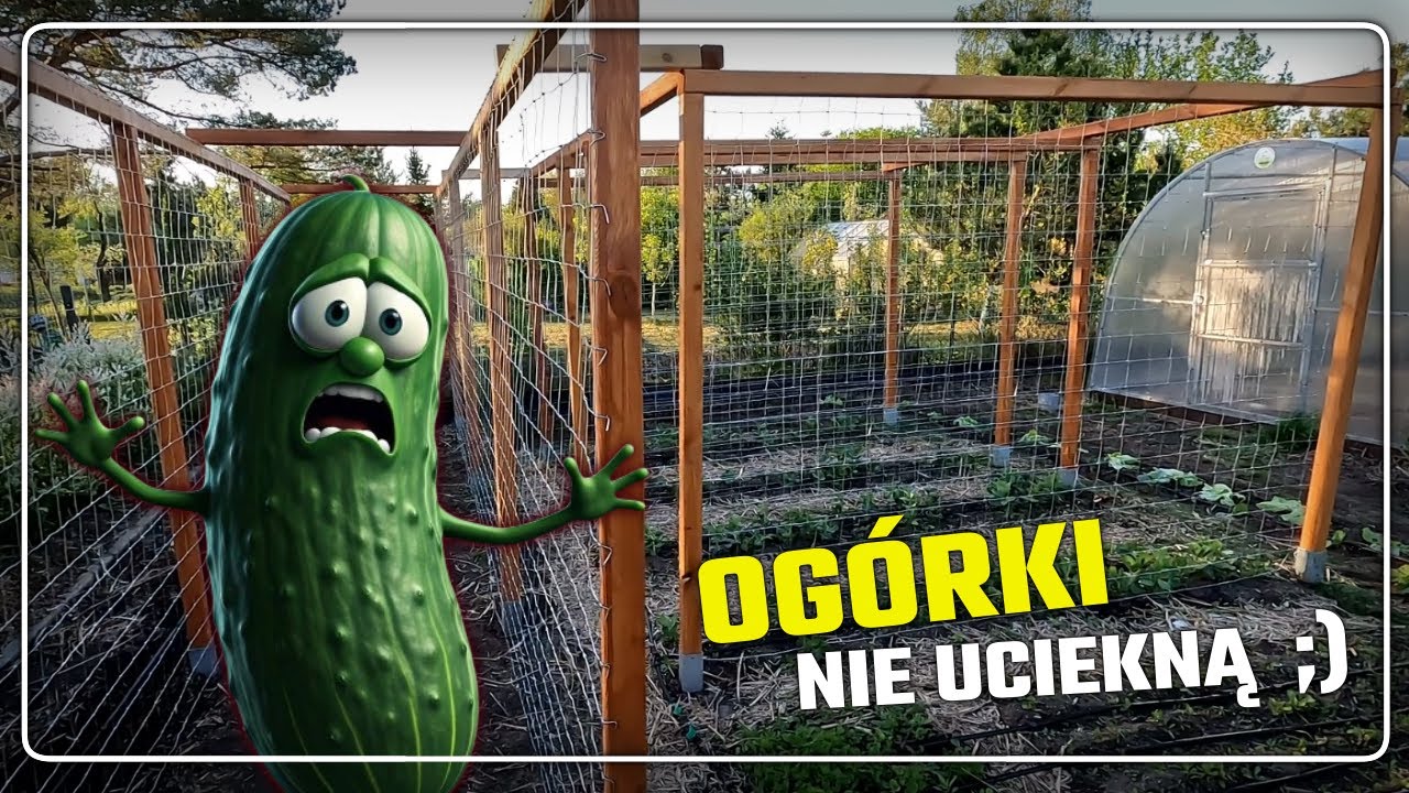 super stelaże pod OGÓRKI, DYNIE i nie tylko!!