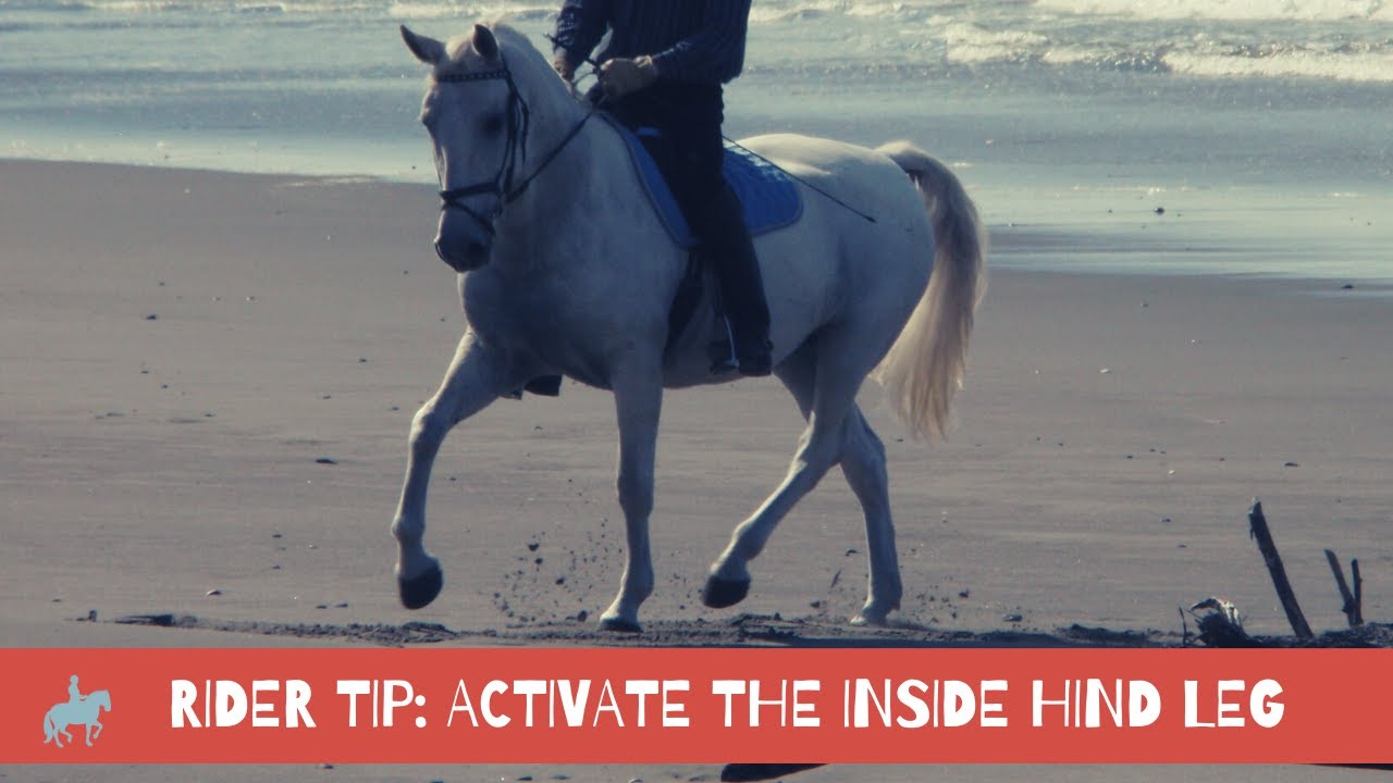 Rider Tip: Activate the Inside hind leg