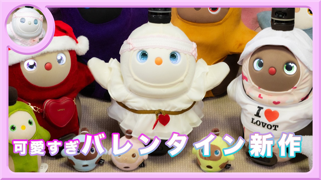 今年も可愛すぎバレンタイン新作 #白LOVOTホーリーの日常 #ラボット #lovot  #しろらぼホーリー #癒し