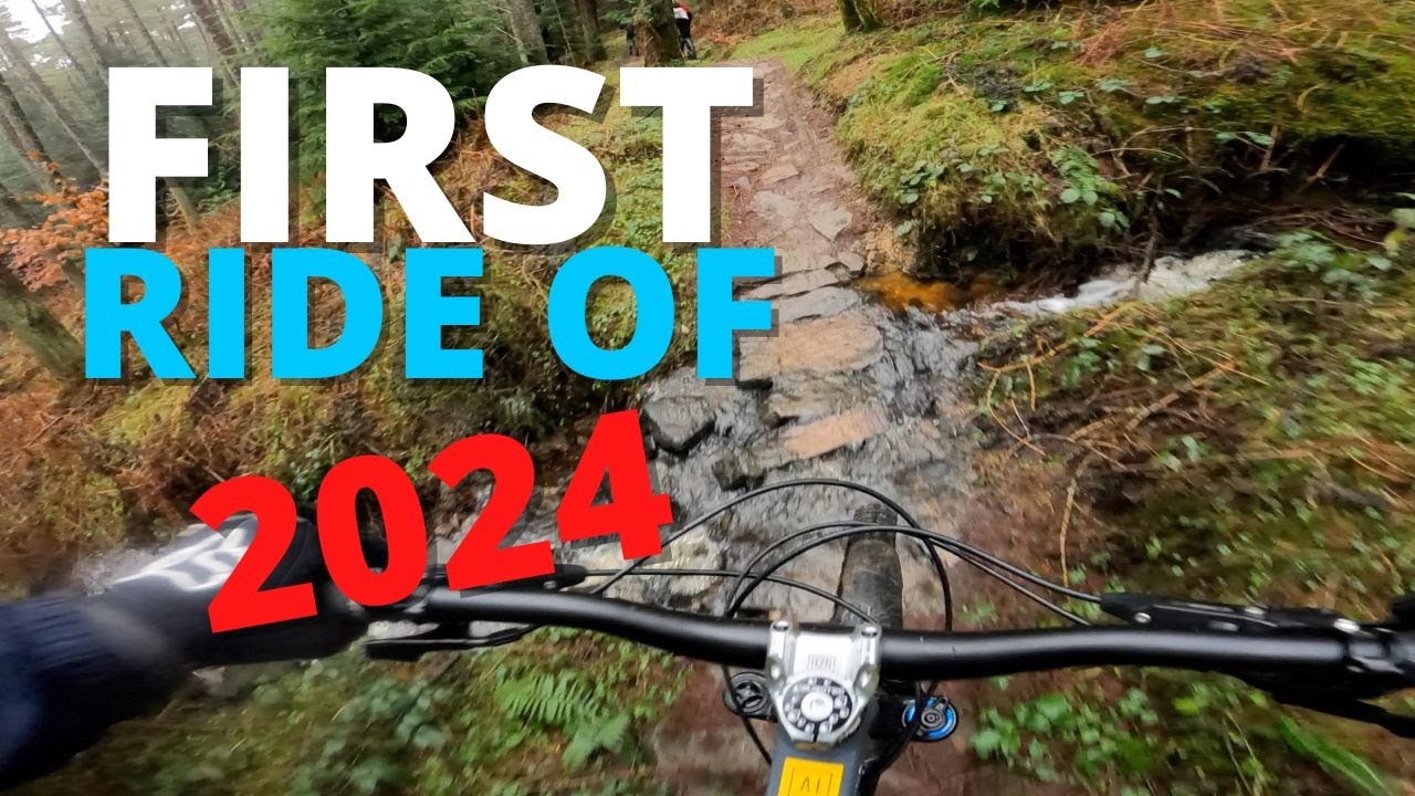 Wet REDS At Hamsterley Forest MTB
